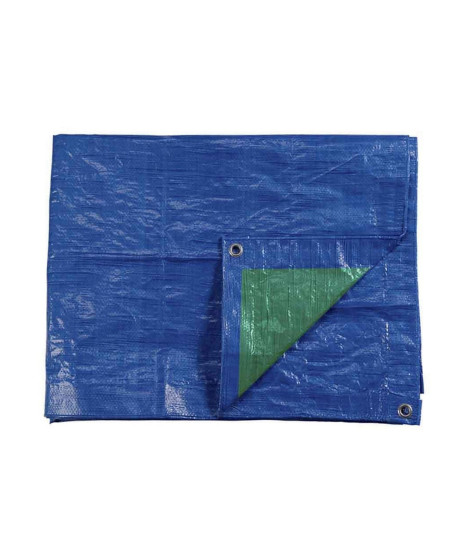 Toile de protection EDM Bleu (6 x 10 m)