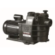 POMPE MAXFLO 0.75CV M1.5'