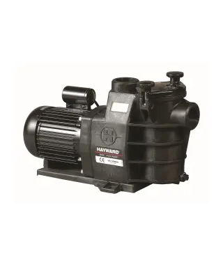 POMPE MAXFLO 0.75CV M1.5'