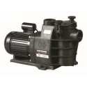 POMPE MAXFLO 0.75CV M1.5'