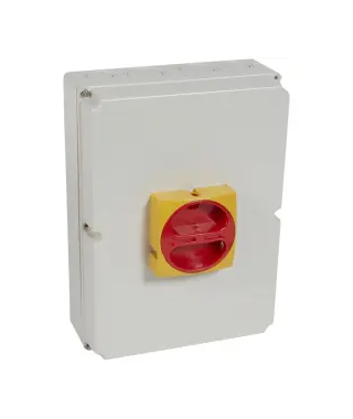 INTER PROX IV NG 63A PRES CAD