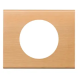 PLAQUE CELIANE MATIERES 1 POSTE