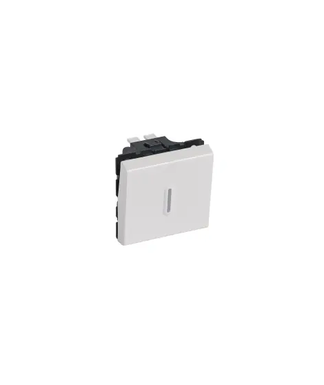 POUSSOIR INVERSEUR A VOYANT 6A 2