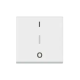INTERRUPTEUR BIPOLAIRE + BORNE R