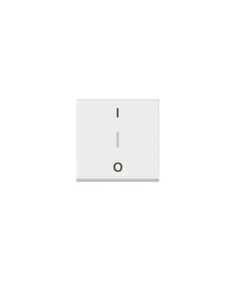 INTERRUPTEUR BIPOLAIRE + BORNE R