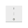 INTERRUPTEUR BIPOLAIRE + BORNE R