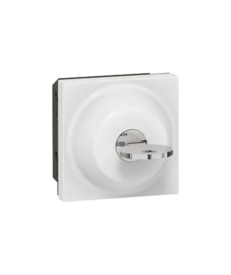 INTERRUPTEUR A CLE MOSAIC - 2 PO