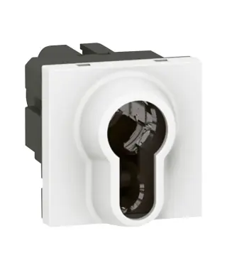 INTERRUPTEUR A CLE MOSAIC - 2 PO