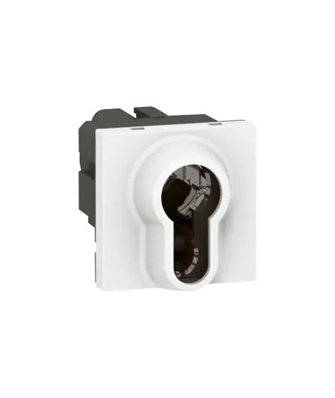 INTERRUPTEUR A CLE MOSAIC - 2 PO