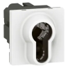 INTERRUPTEUR A CLE MOSAIC - 2 PO