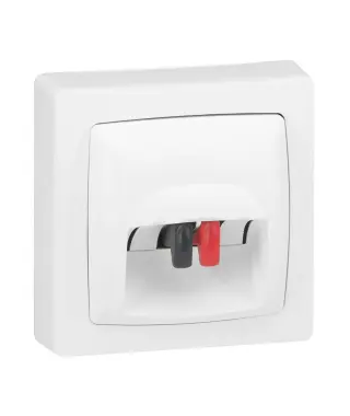 PRISE HAUT-PARLEUR APPAREILLAGE