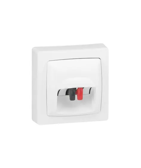 PRISE HAUT-PARLEUR APPAREILLAGE