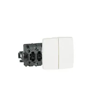 Double poussoir Appareillage sai