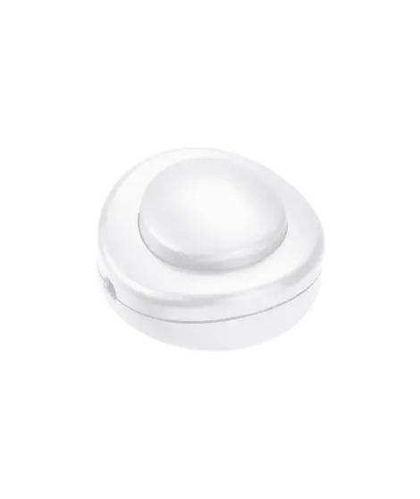 B - INTERRUPTEUR 2A 250V~ AVEC C