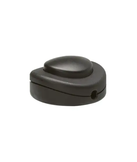 B - INTERRUPTEUR 2A 250V~ AVEC C