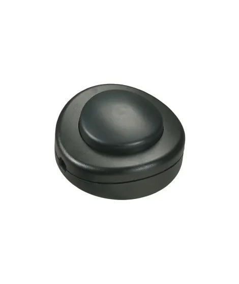 B - INTERRUPTEUR 2A 250V~ AVEC C