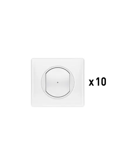 LOT DE 10 INTERRUPTEURS (OPTION