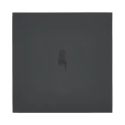 C - ART D'ARNOULD UNIVERS EPURE