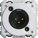 XLR MALE GALLERY NEUTRE BORNIER