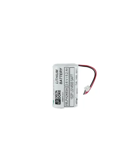 BLOC PILE DETECTEUR MOUVEMENT BI