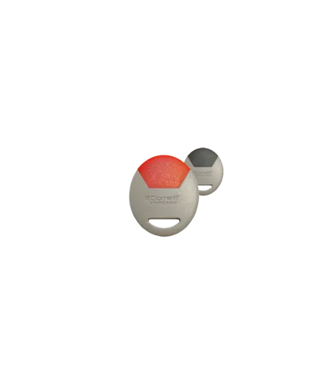 CLE RESIDANT MIFARE GRIS/ROUGE