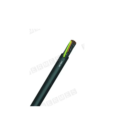 RNFI 19G1