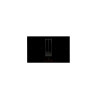 Plaque induction Falmec QUANTUMPRO3420