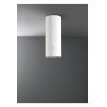 Hotte décorative murale Falmec POLAR1110