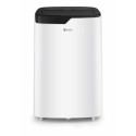 AMSTA - Climatiseur mobile réversible 4en1 - 12000BTU - 3520W - R290 - Déshumidificateur - Surface traitée 37m² - AMCLI120ER