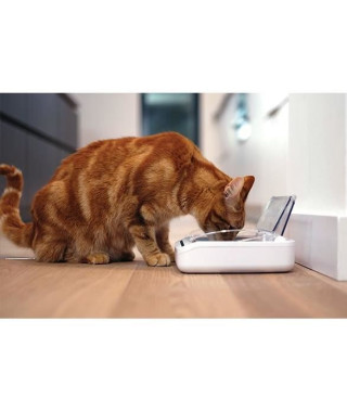 Occasion - SUREFLAP Bol hermétique et automatique SureFeed pour chats et petits chiens