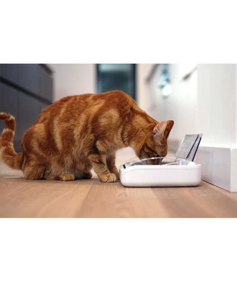 Occasion - SUREFLAP Bol hermétique et automatique SureFeed pour chats et petits chiens
