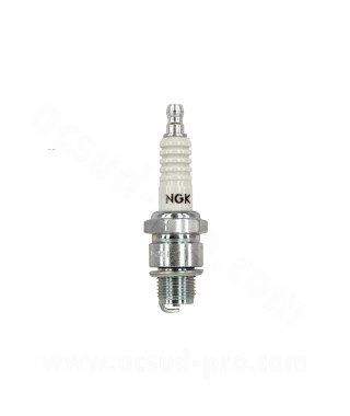 BOUGIE NGK B8ES ( 2411 )