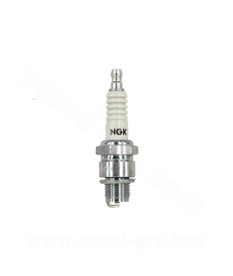 BOUGIE NGK B8HS ( 5510 )