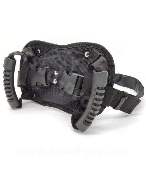 CEINTURE DE SECURITE POUR LE TRANSPORT DE PASSAGER (AVEC POIGNEES POUR PASSAGER)