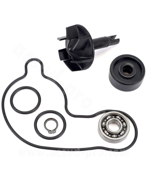 KIT REPARATION POMPE A EAU MAXISCOOTER ADAPT. YAMAHA 300 XMAX 2017
