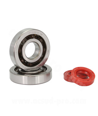 KIT ROULEMENTS TPI (6204 TVH C4) + JOINTS SPI ADAPT. PEUGEOT LUDIX / JET FORCE / SPEEDFIGHT 3