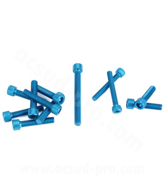 KIT VIS BTR CARTER EMBRAYAGE BLEU ADAPT. MOTEUR AM6 ( VIS POMPE A EAU + POMPE A HUILE INCLUS ) 12PCS