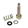 KIT VIS RALENTI CARBURATEUR DELLORTO PHBH / PHBL / PHF / PHM / VHBT