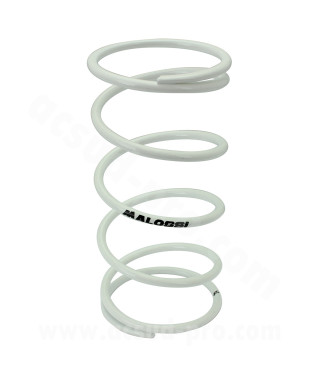 RESSORT VARIATEUR SCOOT MALOSSI POUR MBK 50 BOOSTER / NITRO / YAMAHA 50 BWS / AEROX / APRILIA 50 SR / MALAGUTI 50 F12  BLANC