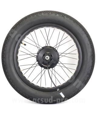 _ROUE ARRIERE EZO ALPER ROAD COMPLETE AVEC CA ET PNEU