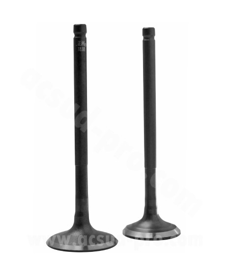 SOUPAPE MAXISCOOTER ADAPT. HONDA SH / SWING / DYLAN / PANTHEON 125CC 2003-2010  (OEM : 14711-KCW-000 + 14721-KCW-000) (LA PAIRE)