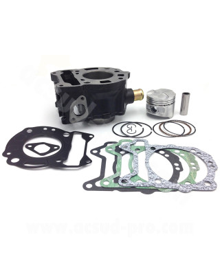 CYLINDRE MAXISCOOTER RB MAX FONTE ADAPT PIAGGIO 125 MP3 07 BEVERLY 05 X8 04 X9 03 X10 12 X-EVO 07 VESPA GTS 07 GILERA 125 NEXUS