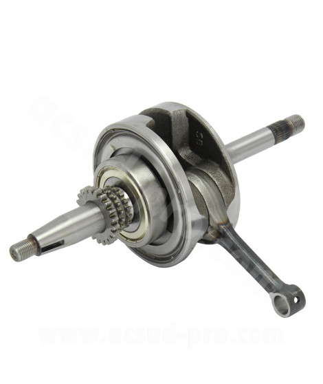 EMBIELLAGE MAXISCOOTER RB MAX ADAPT HONDA PCX 2012-2017 SH 125cc 2014-2016  4T START AND STOP (axe Ø13)