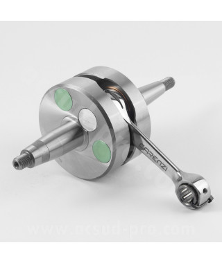 EMBIELLAGE MOTO CARENZI EVOLUTION ADAPT DERBI 50 SENDA 2006 GPR 2006 APRILIA 50 RS 2006 GILERA 50 SMT RCR 2006 (EURO 3)