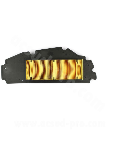 FILTRE A AIR MAXISCOOTER ADAPT SYM 250 GTS 20072008 250 JOY-MAX 20052007 300 GTS 2007 SYM 125GTS  Euro4 (OEM : 17211-HMA-000)