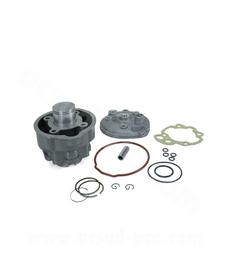 HAUT MOTEUR MOTO CARENZI ALU ADAPT MINARELLI AM6 50 BETA 50 RR MBK 50 X-POWER YAMAHA 50 TZR PEUGEOT 50 XPS RIEJU 50 RS SHERCO 50