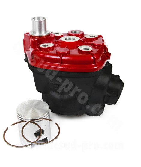 HAUT MOTEUR MOTO MVT IRON MAX FONTE ADAPT MINARELLI AM6 50 BETA 50 RR MBK 50 X-POWER YAMAHA 50 TZR PEUGEOT 50 XPS RIEJU 50
