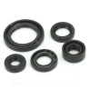 JOINT SPI MOTEUR ADAPT SUZUKI GN125 GS125 - MASH 125 FALCONE SEVENTY  (POCHETTE DE 5 JOINTS)