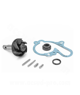 KIT REPARATION DE POMPE A EAU MOTO ADAPT MINARELLI AM6 50CC BETA 50 RR MBK 50 X-POWER YAMAHA 50 TZR PEUGEOT 50 XPS RIEJU 50 RS