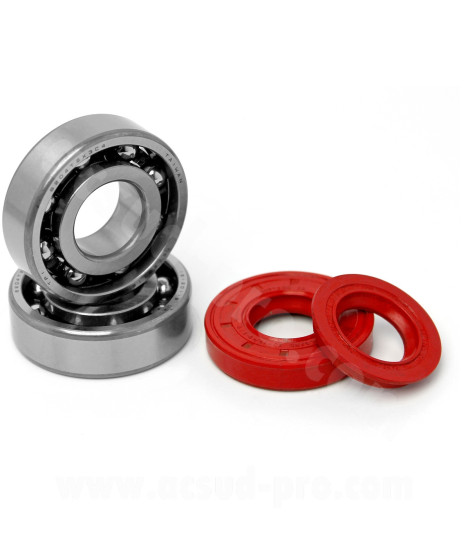 KIT ROULEMENTS TPI (6204 TVH C4) + JOINTS SPI  ADAPT MBK BOOSTER NITRO OVETTO STUNT CPI YAMAHA BWS AEROX SLIDER NEOS